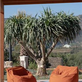 3 bedroom villa with pool near Castellamarre del Golfo, sleeps 5